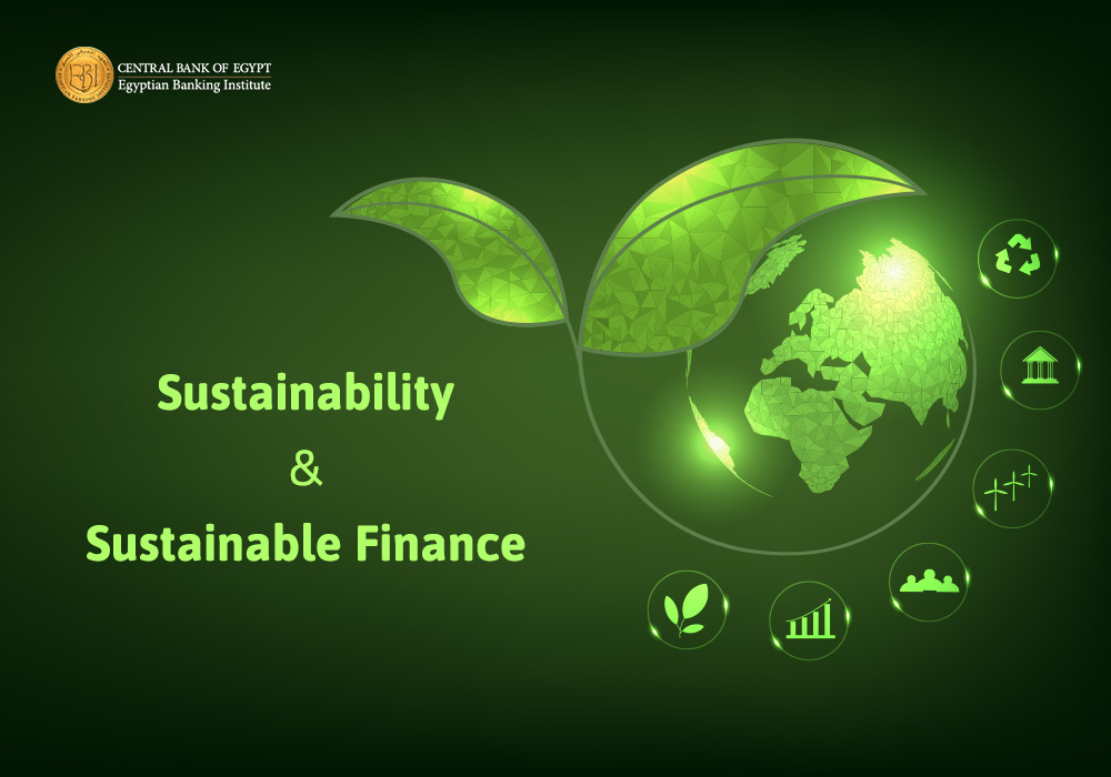 Sustainability and Sustainable Finance