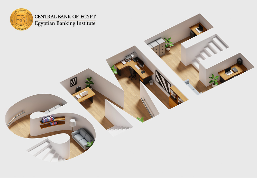 Introduction to Financing Small and Medium Enterprises ENG